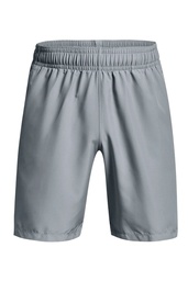 Under Armour Shorts Woven Graphic